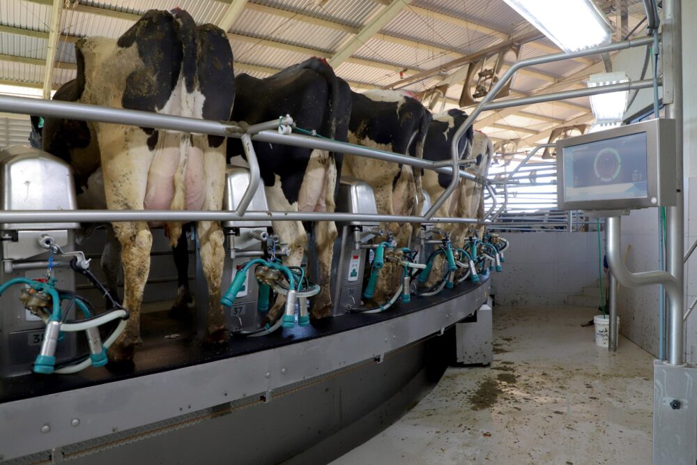 Cenário projeta aumento na remuneração do leite