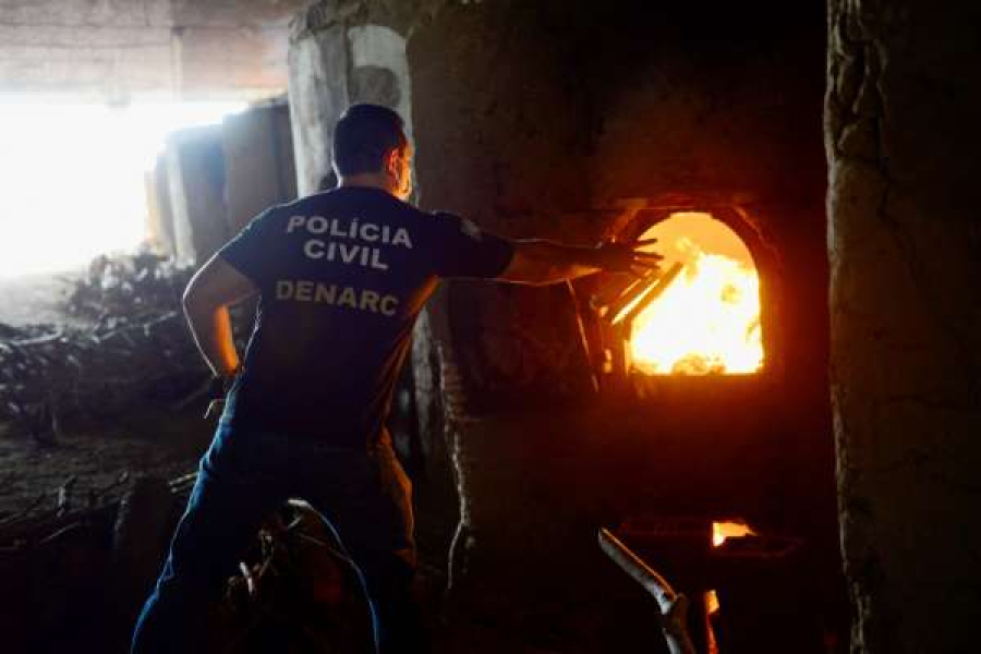 DENARC vai incinerar meia tonelada de maconha, cocaína e crack