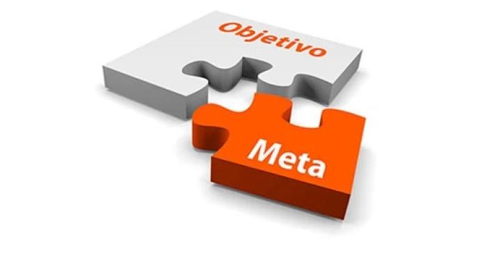 Quais são as suas metas e objetivos?