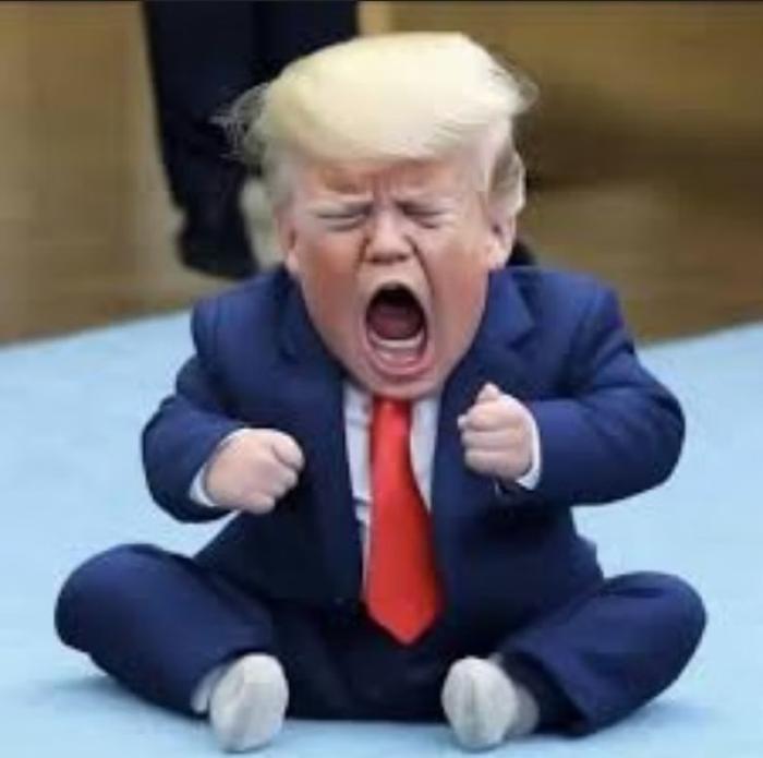 Política e economia para explicar o tarifaço de Trump.