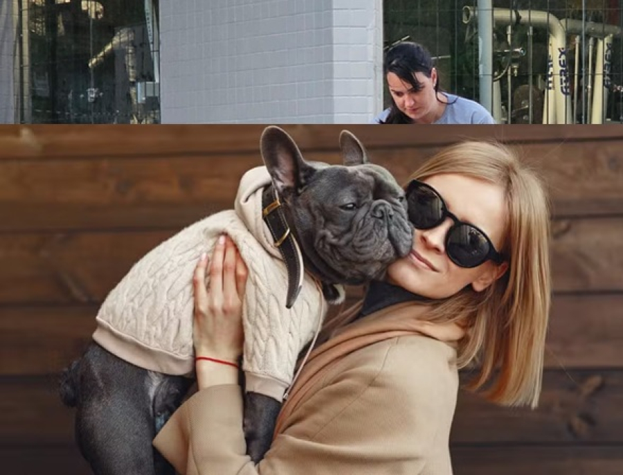 Os cuidados podem ser prejudiciais à saúde do animal.