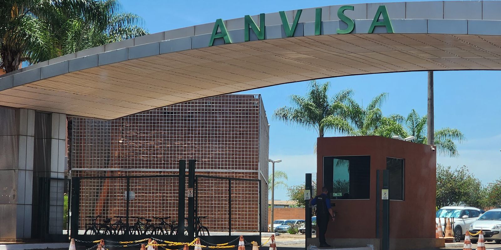 Anvisa proíbe fabricação e venda de ora-pro-nóbis