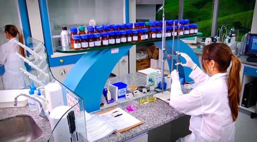 Liberada para estudo, droga pode ser produzida no país.