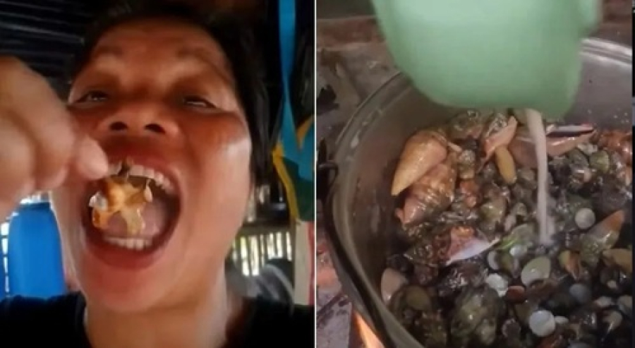 Influenciadora come crustáceo venenoso e morre.