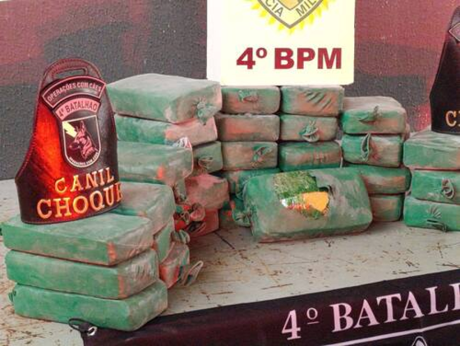 Choque Canil apreende 40 kg de crack