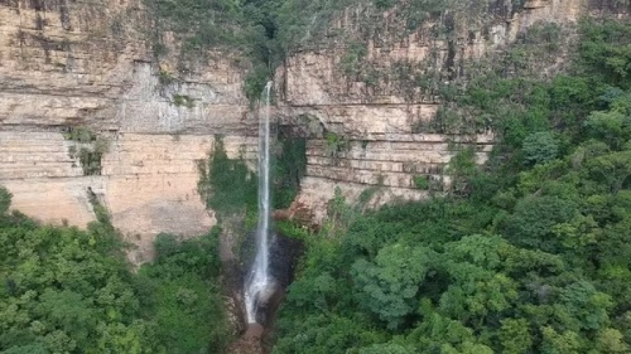 Professora morre após ser atingida por pedra