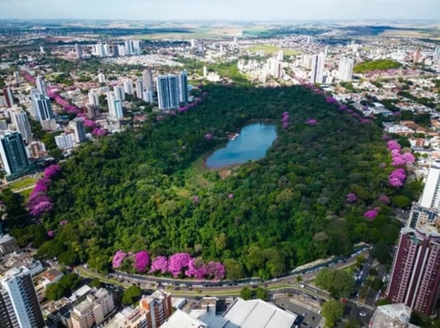   Concessão do Parque do Ingá é questionada