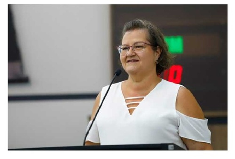 Câmara debate o enfrentamento à violência