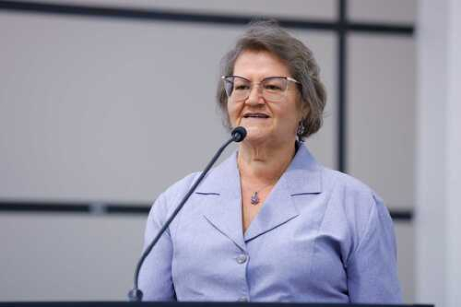 Maringá discute politicas para mulheres na câmara  