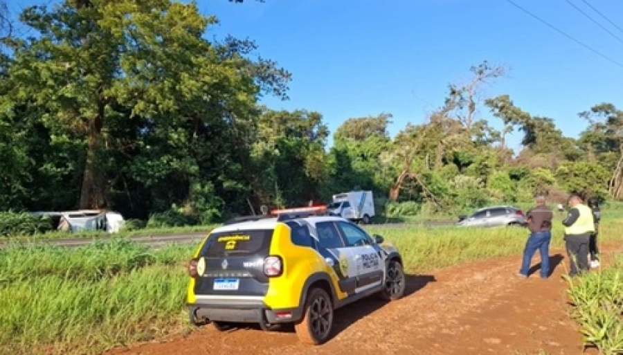 Motorista morre ao tentar desviar de árvore caída