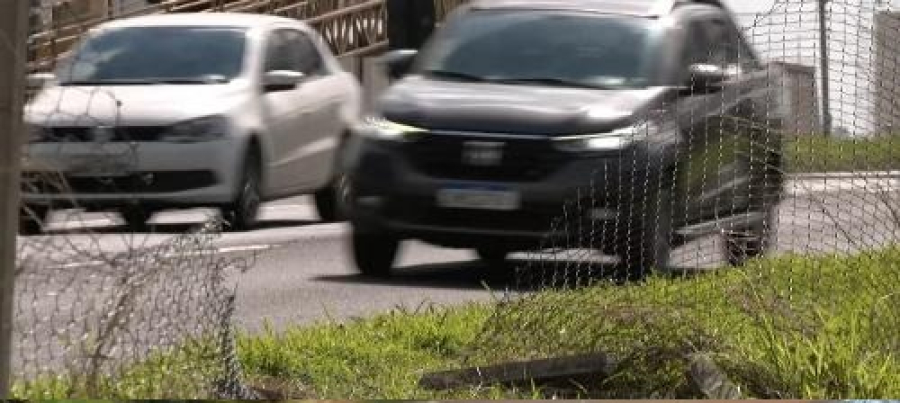 Aberturas em telas da BR-369 aumentam risco de atropelamentos 