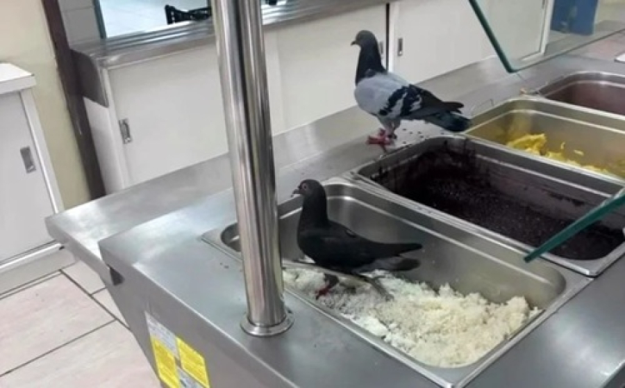 Pais denunciam sujeita na comida de colégio do estado.