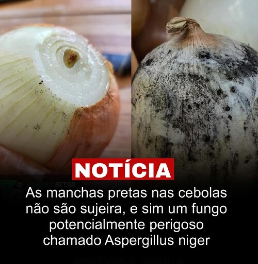 Nunca consuma cebolas com 