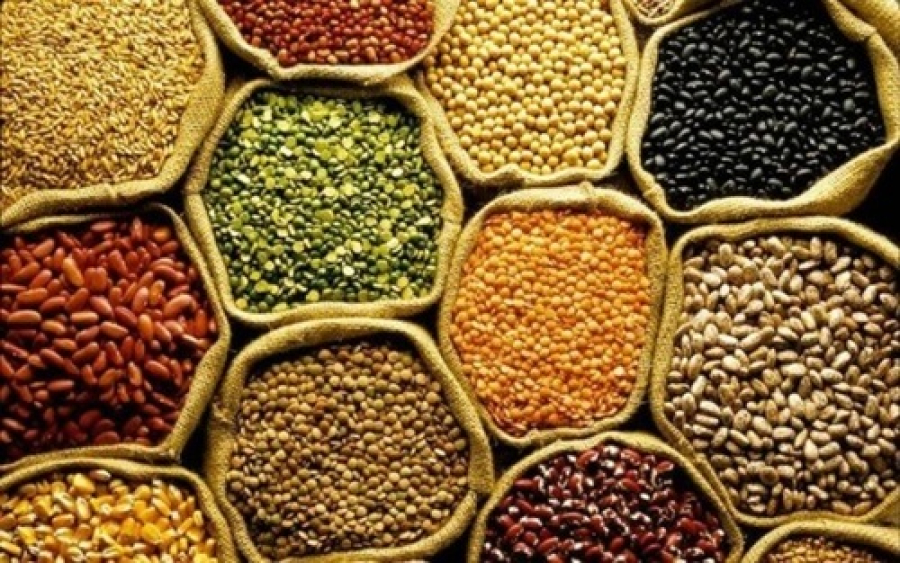 Produção pode bater 353 milhões de toneladas