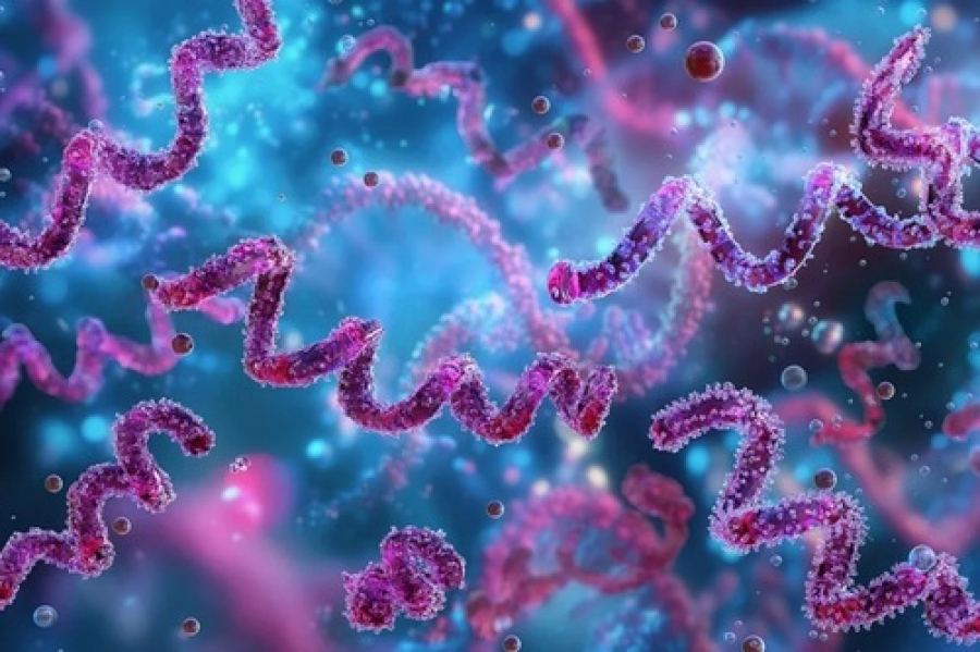 SUS adota estratégia preventiva com antibiótico.