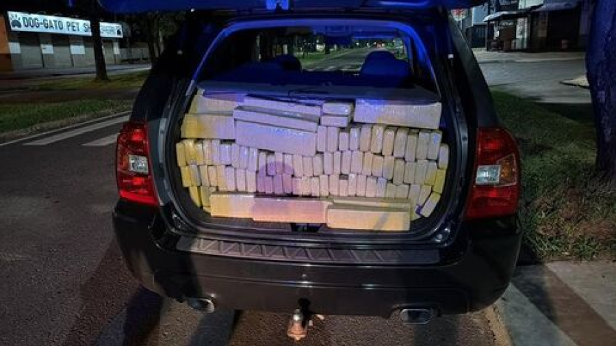 PF intercepta mais de meia tonelada de maconha 