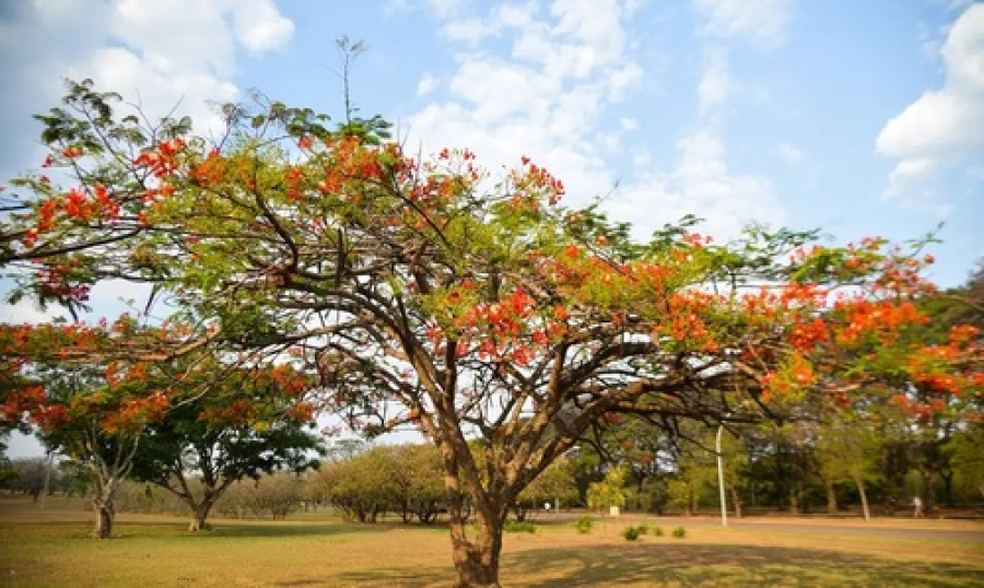 Verão chega ao fim no Brasil