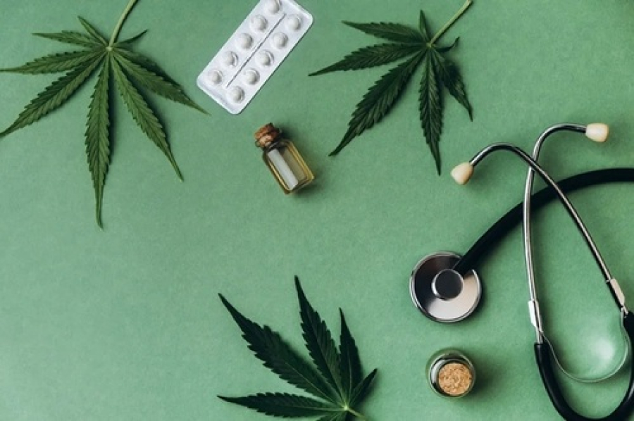 Cannabis podem reverter a gordura no fígado