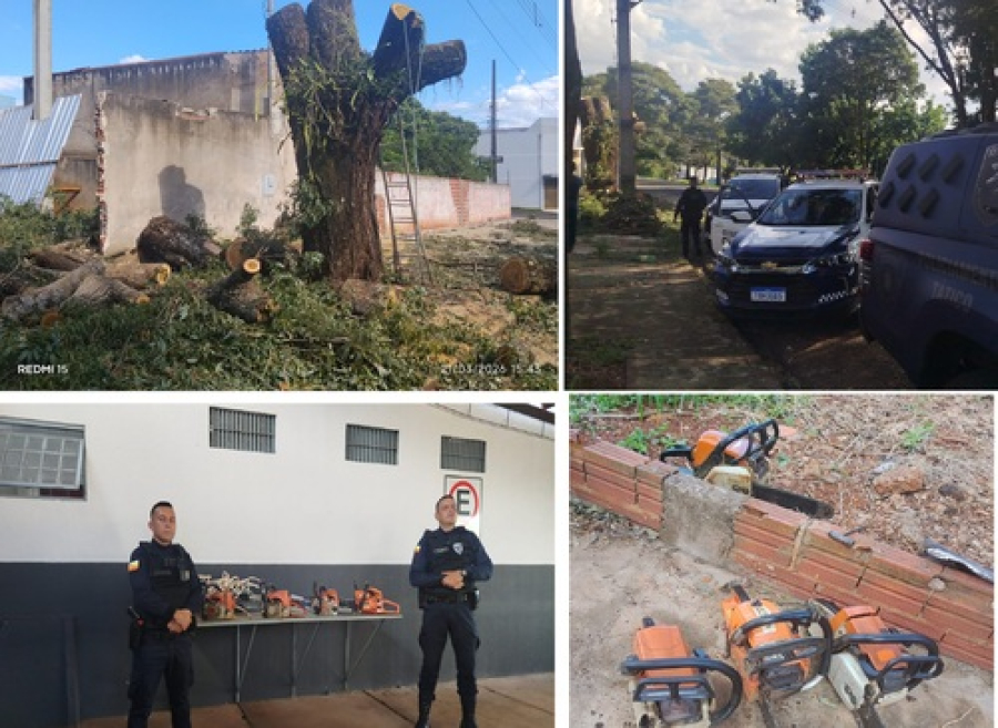 4 homens detidos por poda irregular.