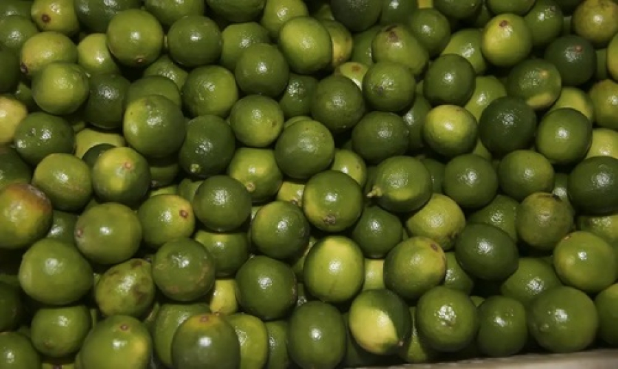 Suco de limão pode controlar nível de açúcar no sangue