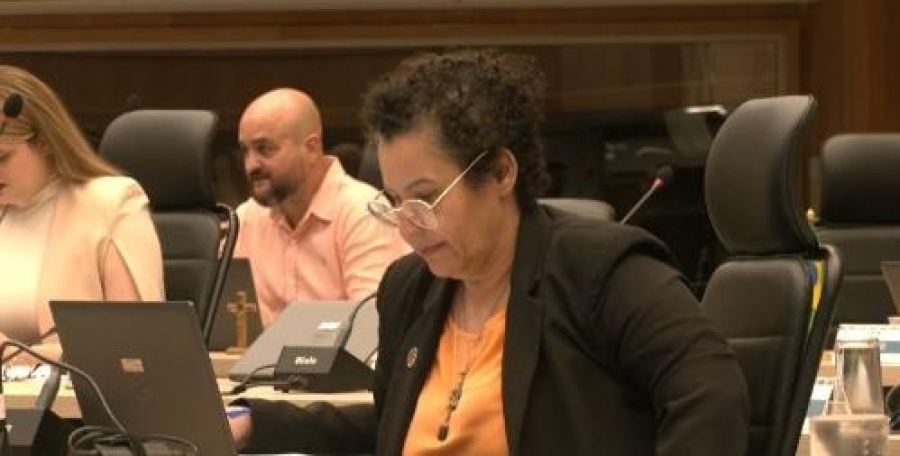 Câmara deve abrir processo contra vereadora Anne Moraes.