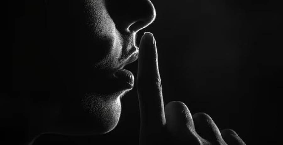 Nova Lei do Silêncio na Alemanha. E no Brasil??