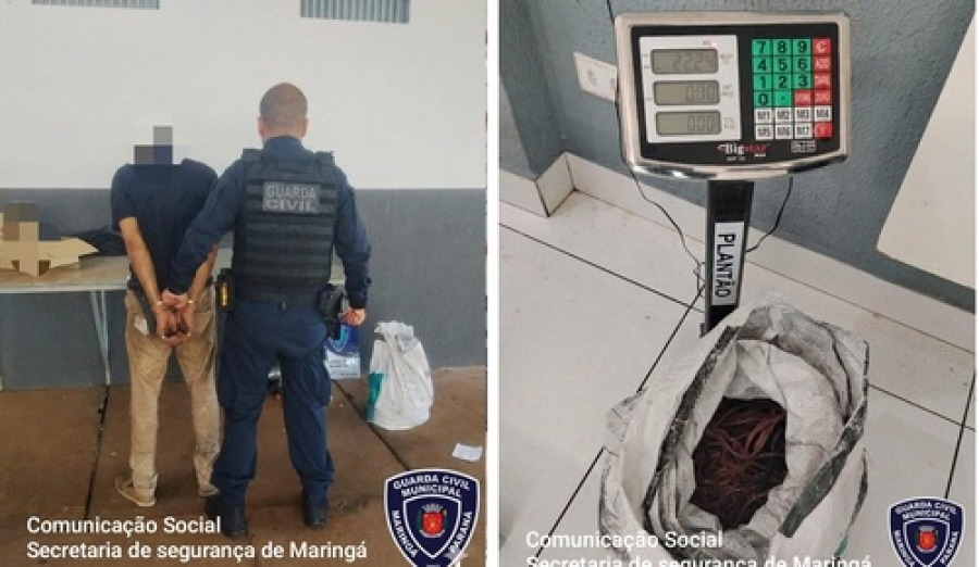 Homem é flagrado queimando fios para extrair cobre  