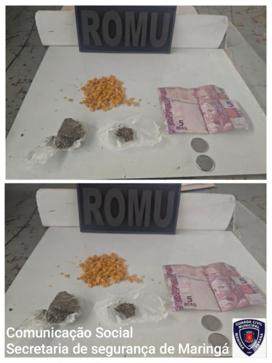 ROMU apreende drogas em área de mata .