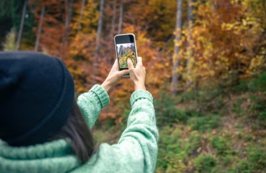 Vídeos da natureza acalmam a mente e o humor.