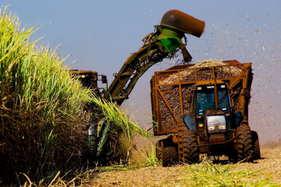 Produção de cana pode ser a 2ª maior da história