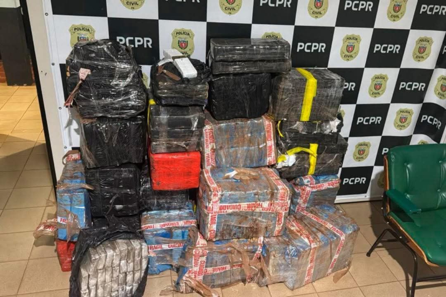 Polícia Civil apreendeu 734 quilos de maconha 