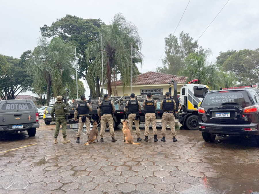 Polícia apreende mais de 5 toneladas de maconha