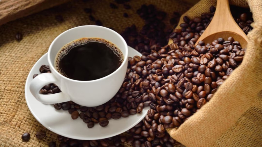 Café pode ficar mais barato com expectativa de uma safra recorde