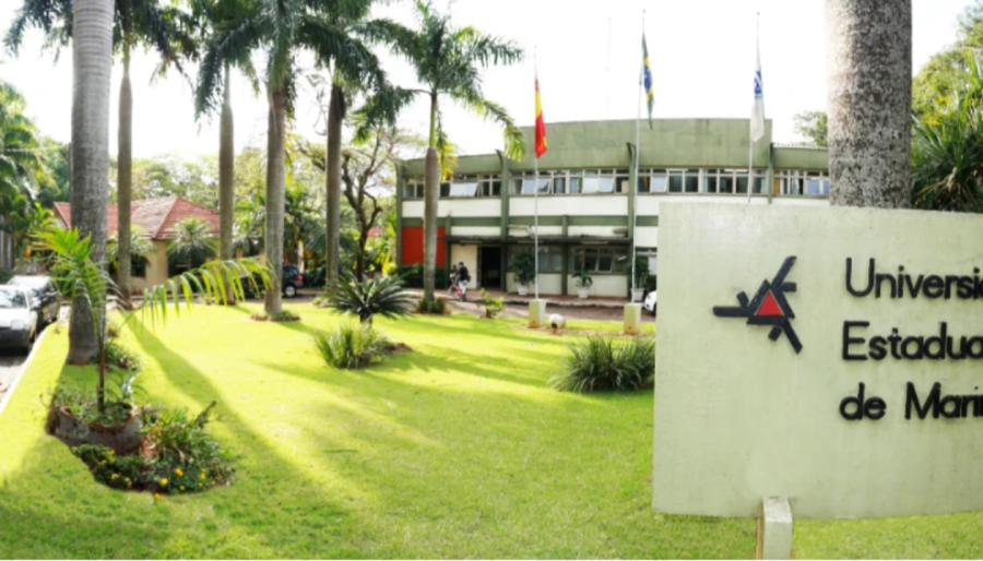 UEM se destaca com seus cursos no Enade