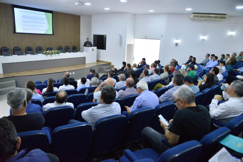 Setor produtivo da mandioca une forças.