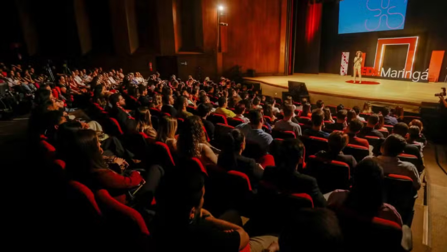 Teatro, música, dança e literatura.