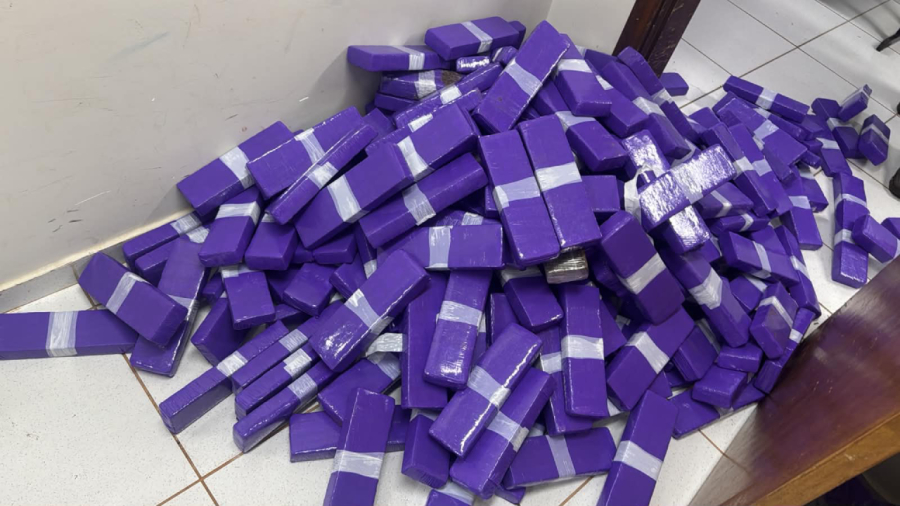 DENARC apreende 235 kg de maconha e prende dupla  