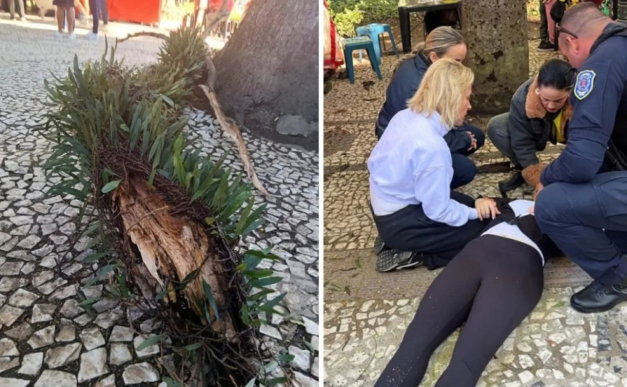 Paciente atingida por galho passa por terapia para lesão medular.