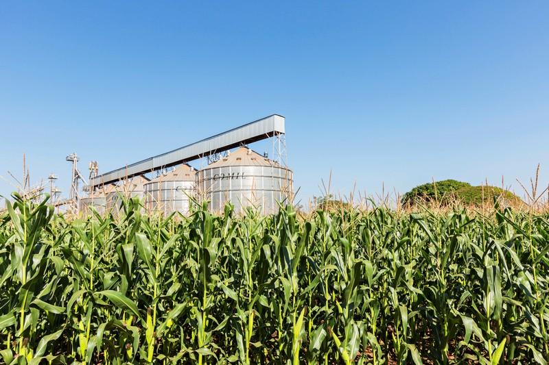 Agricultores enfrentam desafios climáticos