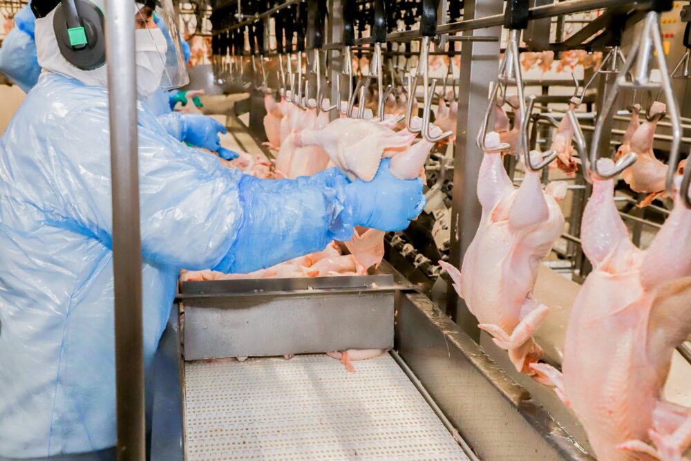 Abertas propostas de aquisição de alimentos