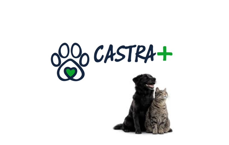 Castra+ é suspeito sobre registros e contratos.