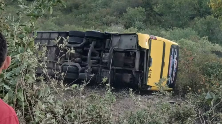 Ônibus com romeiros tomba e deixa mortos.  