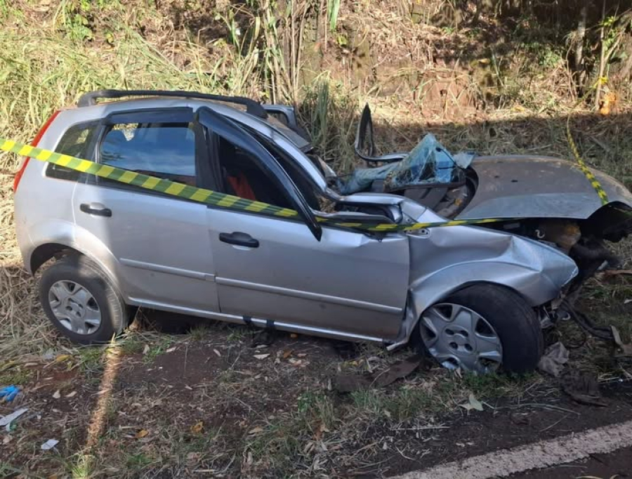 Motorista perde controle e bate contra árvore.