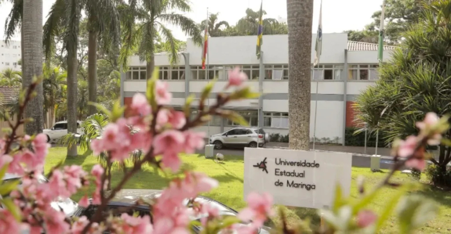 Mais de 10 mil candidatos no Vestibular da UEM