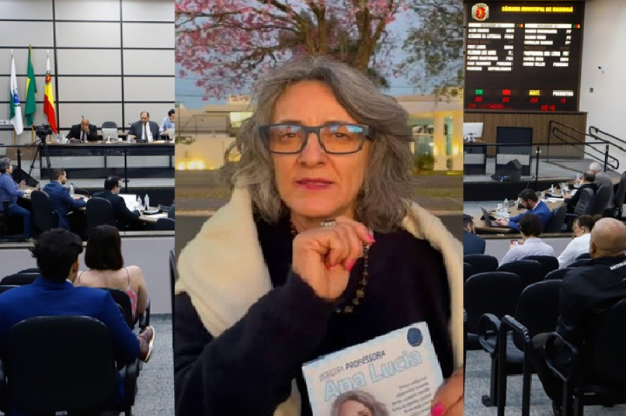 Câmara recebe defesa da vereadora Ana Lúcia