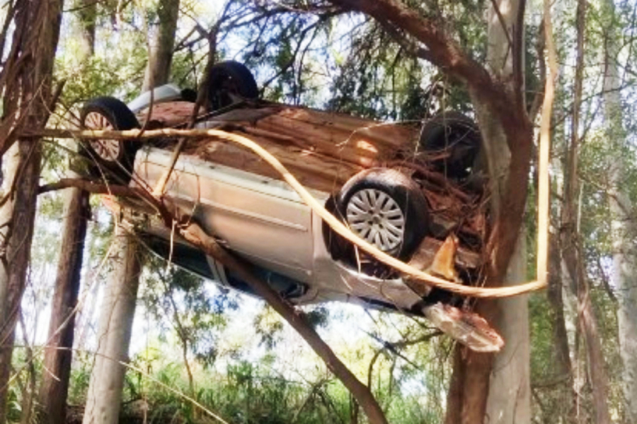 Carro sai da rodovia e fica preso em uma árvore