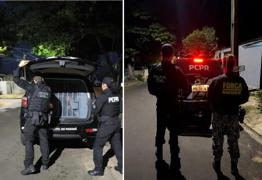 Operação Iceberg prende cinco pessoas.