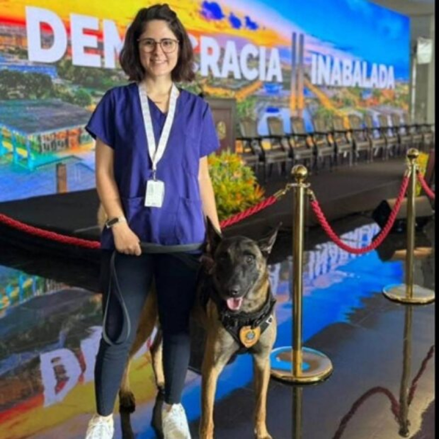 Veterinária em estado grave após ser atacada por cão do Senado