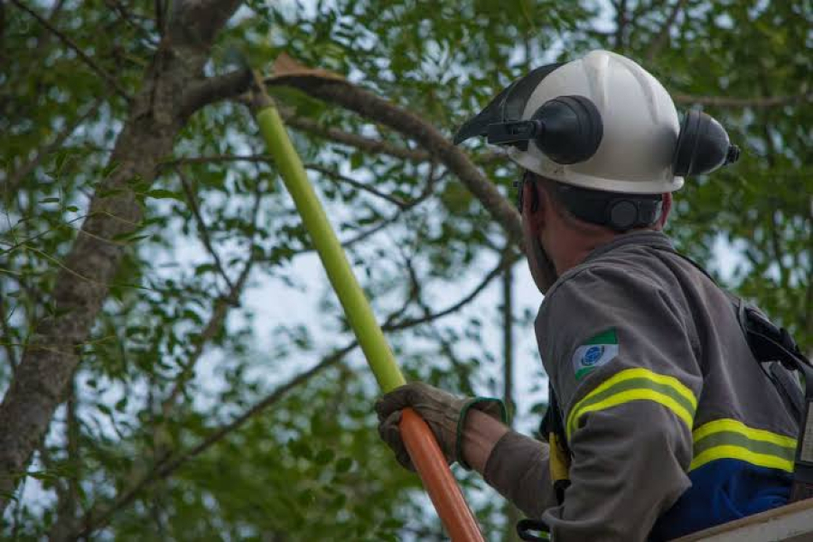 Copel intensifica poda de árvores em Maringá