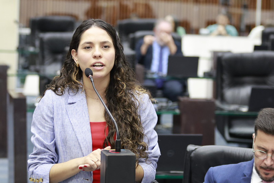 Ana Júlia emplaca quatro prioridades na LDO para 2027